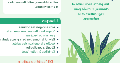 Izalgi: Découvrez les bienfaits de cette plante méconnue pour votre santé et votre bien-être