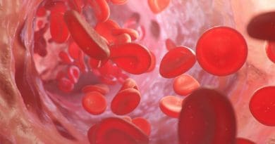 Les hématies : tout ce que vous devez savoir sur ces cellules sanguines