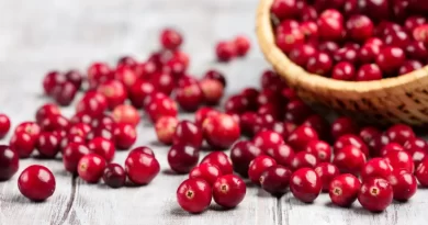 Titre d&rsquo;article : Les bienfaits de la Cranberry pour la santé féminine