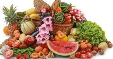 Les aliments riches en vitamine E : les connaître, les consommer.