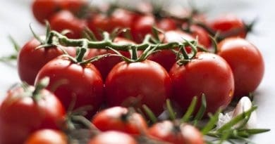 Les bienfaits de la tomate sur le système gastro-intestinal