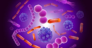 Qu&rsquo;est-ce que le microbiote humain et pourquoi est-il si important ?