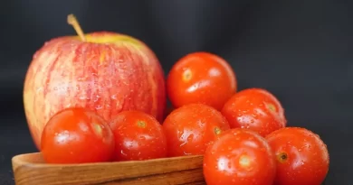 Tomates au four : 5 recettes savoureuses pour booster votre santé !