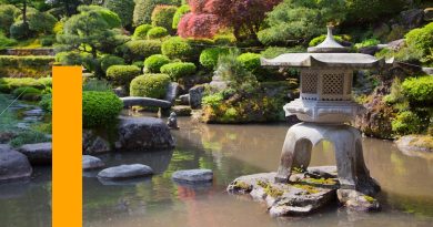 Zen et Élégance : Les Secrets d&rsquo;un Gazon Japonais Parfait dans votre Jardin